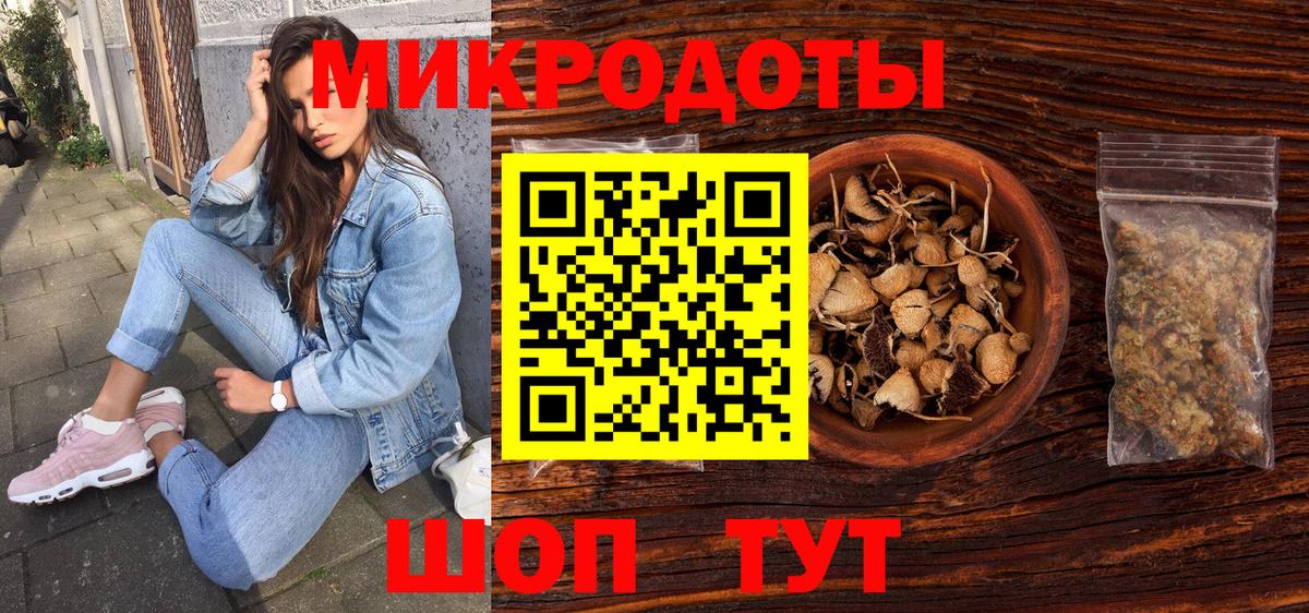 Псилоцибиновые грибы Psilocybine cubensis Аксай